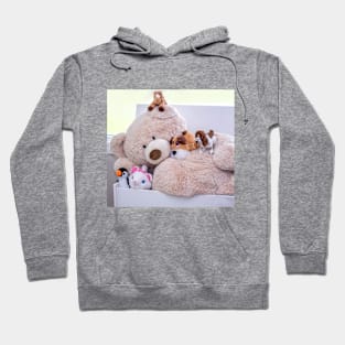 Teddy bear and friends Hoodie